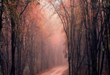 新利luck18官网登录入口：[NBA]字母哥27分10篮板 雄鹿客场不敌火箭.