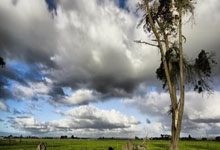 紮內蒂又在做夢 國米意甲奪冠 看他怎麼應對那不勒斯和亞特蘭大.