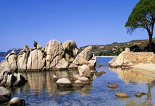 新利luck18：[NBA]六人得分上双 开拓者大胜黄蜂.